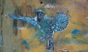 C215