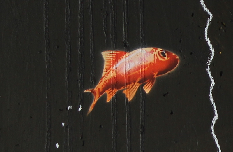 Banksy Goldfish